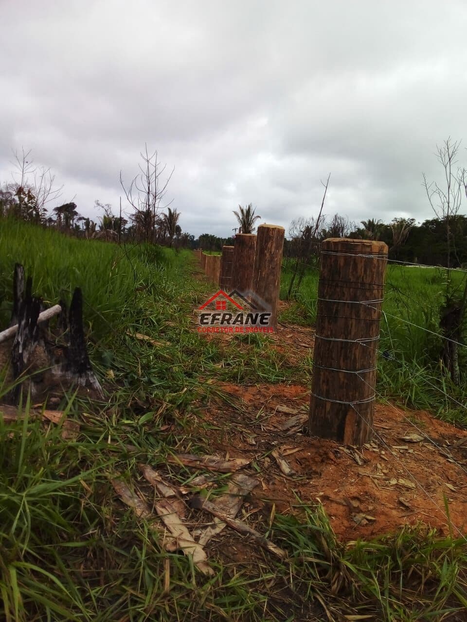 Fazenda/Sítios/Chácaras em Porto Velho - Área Rural de Porto Velho