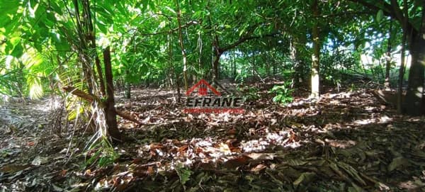 Fazenda/Sítios/Chácaras em Cacoal - Vila Verde