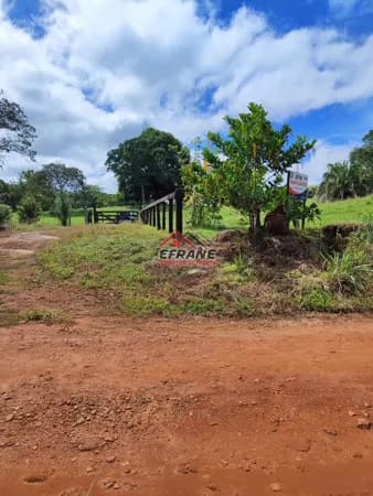 Fazenda/Sítios/Chácaras em Cacoal - Área Rural de Cacoal