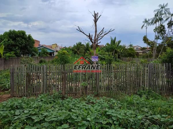 Lote/Terreno em Cacoal - Princesa Isabel