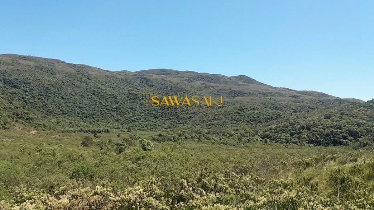 Fazenda para Venda em Araçatuba Tijucas do Sul-PR