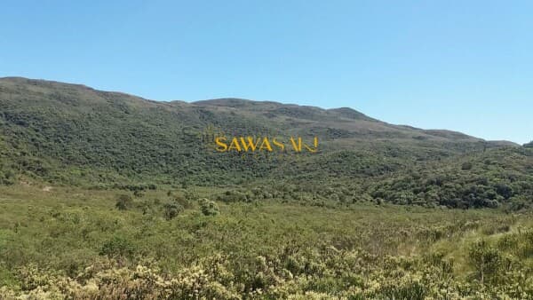 Fazenda para Venda em Araçatuba Tijucas do Sul-PR