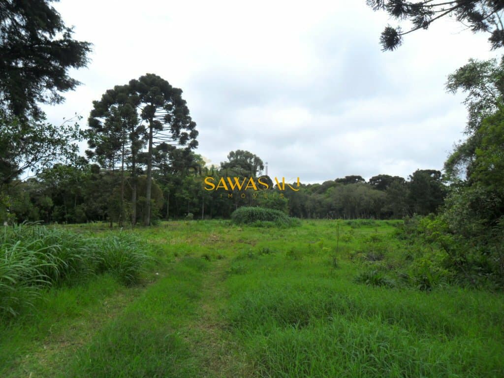 Terreno para Venda em Roseira São José dos Pinhais-PR