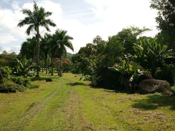 Chácara para Venda em Rio Cedro Antonina-PR
