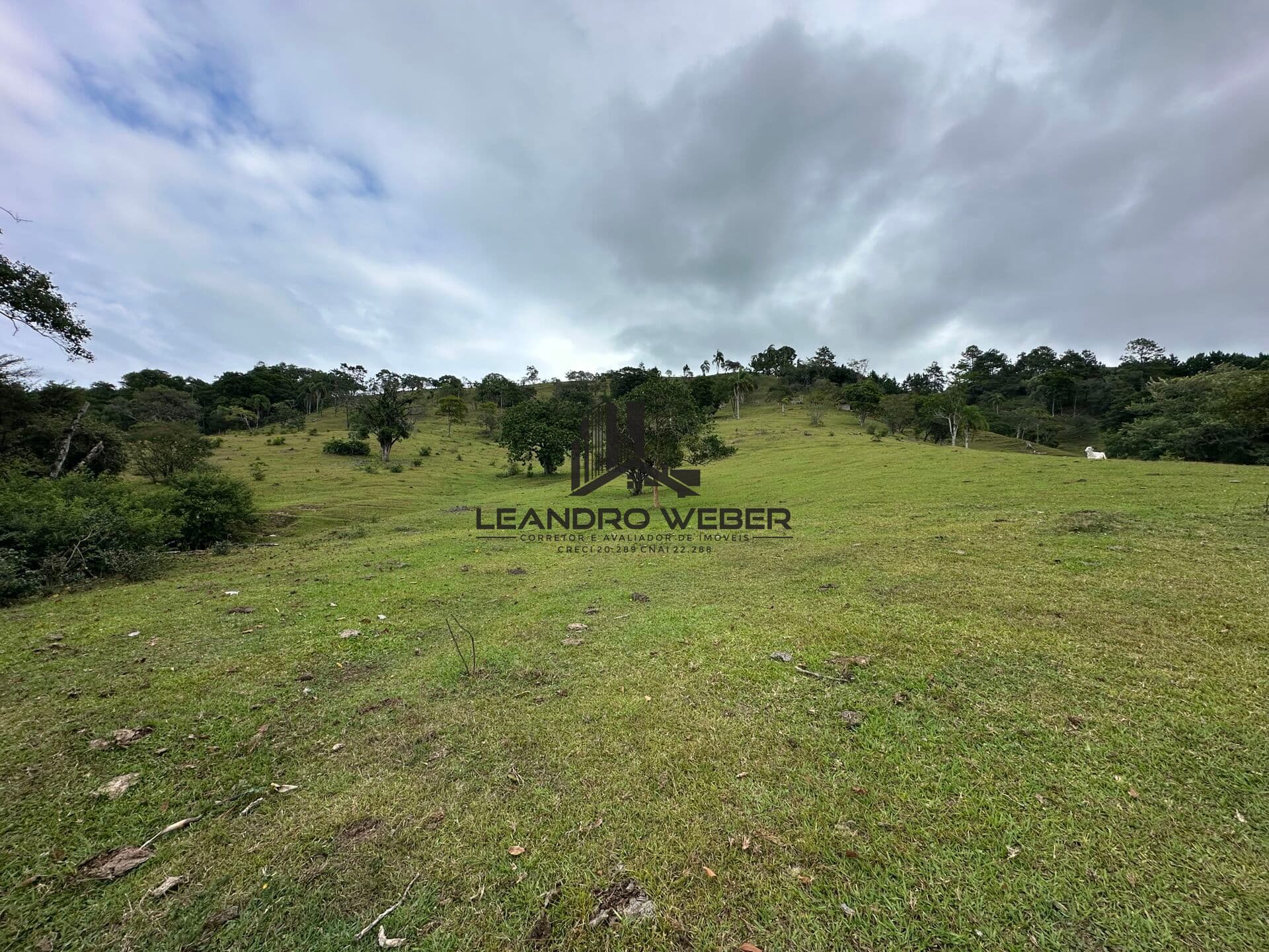 Oportunidade - Área de 15,9 Hectares para Loteamento ou Turismo!
