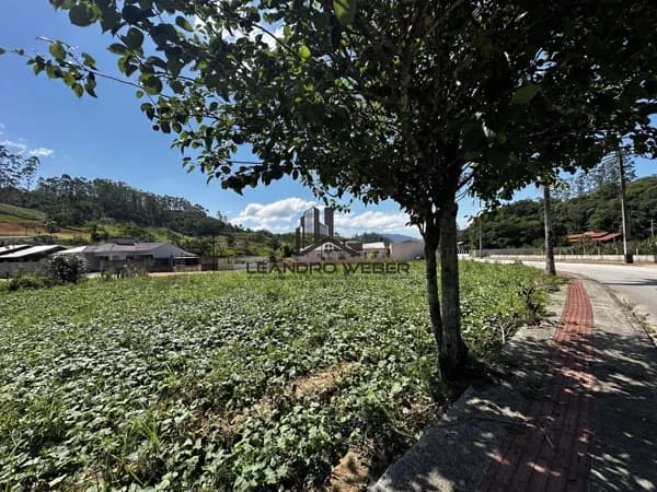 Terreno com 1.303,76m² - Com Escritura - Antônio Carlos - SC