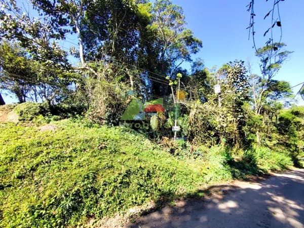 TERRENO 20X40M