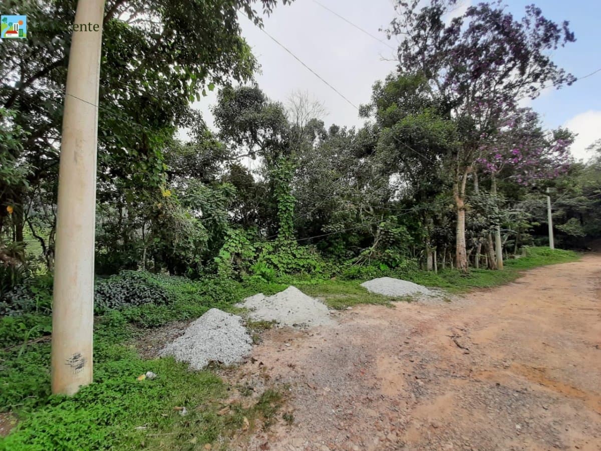 TERRENOS CALIFORNIA PAULISTA
