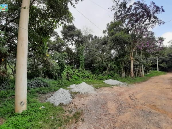 TERRENOS CALIFORNIA PAULISTA