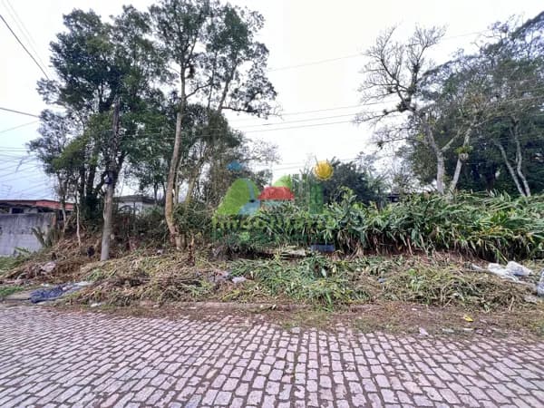 TERRENO 800M² - SENDO 20 M DE FRENTE - TOPOGRAFIA PLANA / ACLIVE