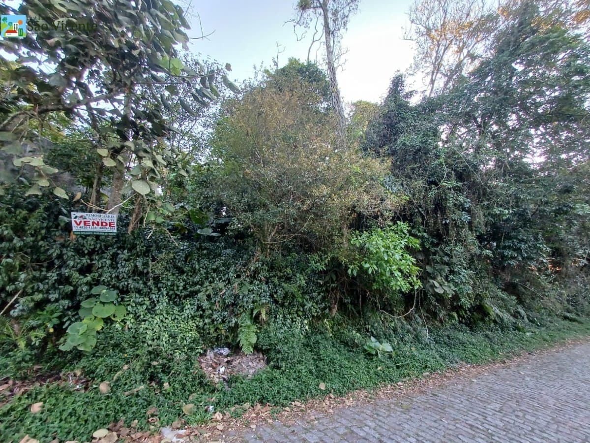 TERRENO 2.040M² - ÓTIMO PARA CHÁCARA - RUA CALÇADA
