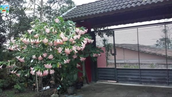Chácara para Venda em Vila Pereira Barreto Ribeirão Pires-SP