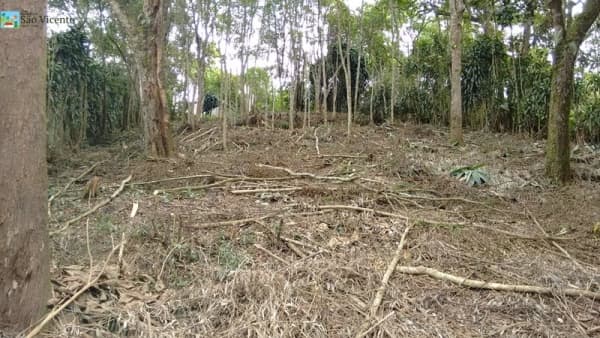 🚨 TERRENO 600m² COM ESCRITURA 🏡💰FÁCIL ACESSO PARA O CENTRO E RODOVIA