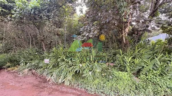 🌿 Terreno c/ 705m² à Venda – Próximo ao Asfalto e Ônibus