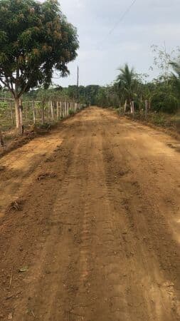 Terreno parcelado