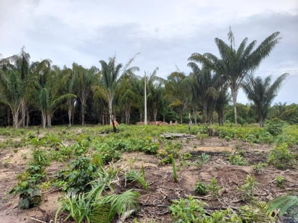 Lote/Terreno em Iranduba - Centro
