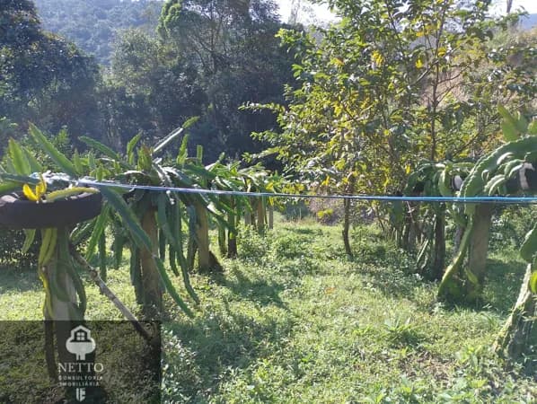 Terreno para sítio em Urussanga bairro Dvilla