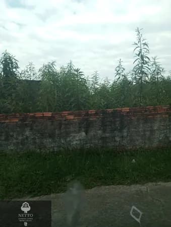 Lote/Terreno em Criciúma - Boa Vista