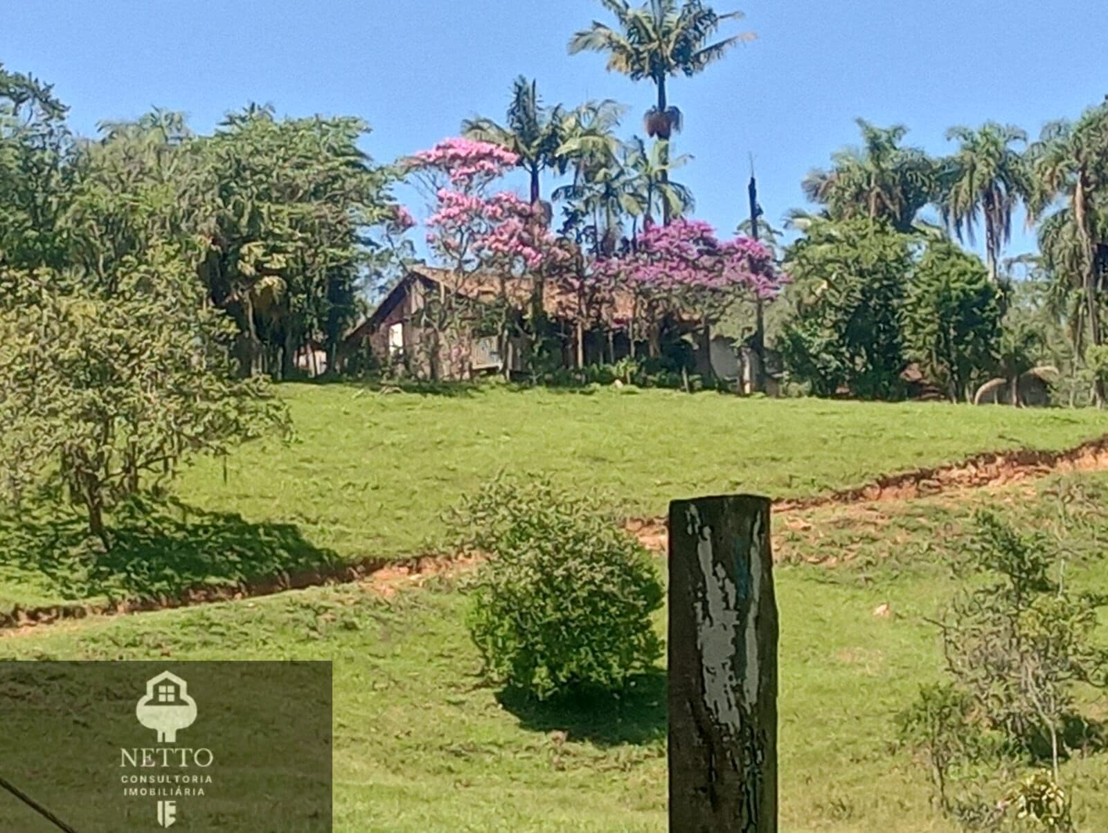 Fazenda/Sítios/Chácaras em Urussanga - Barro Vermelho