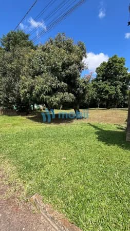 Terreno de 1.610m²