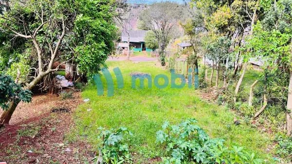 Lote/Terreno em Carazinho - Floresta