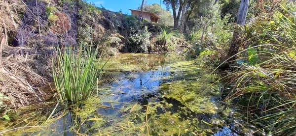 Chácara em Mato Bonito, Campo Alegre/SC