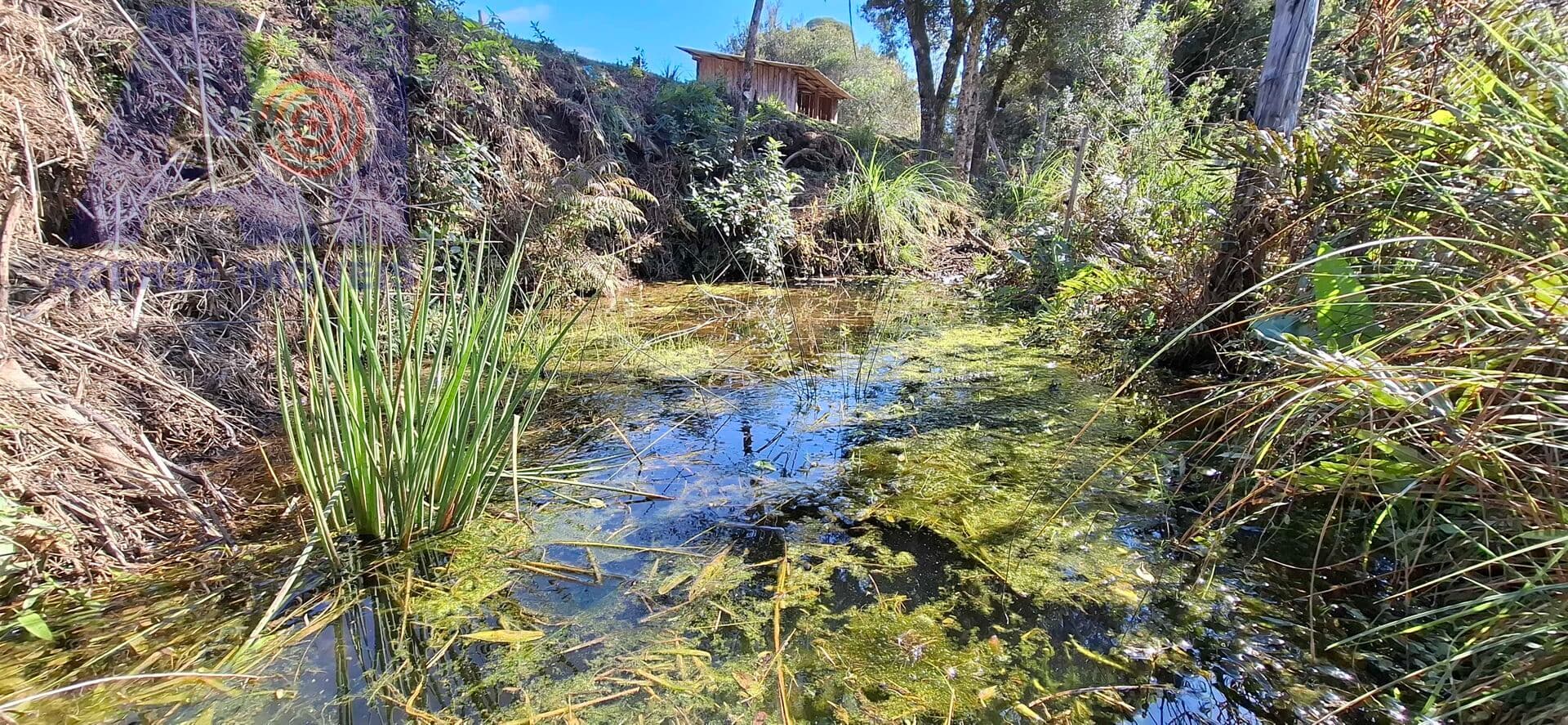 Chácara em Mato Bonito, Campo Alegre/SC