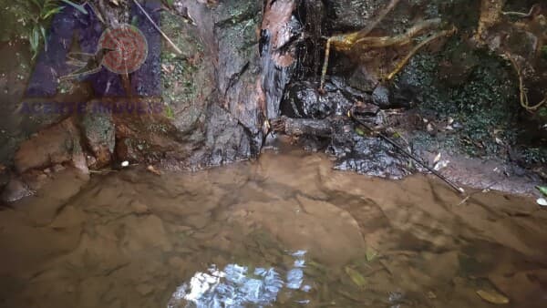 Terreno com 2 córregos de aguas cristalinas