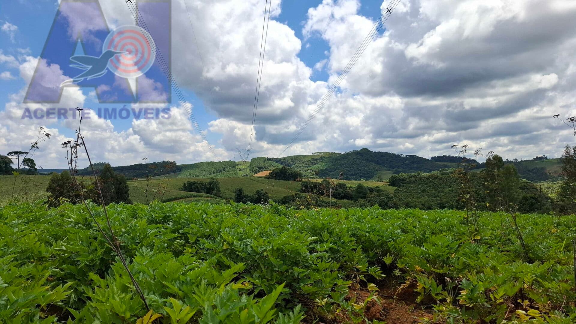Terreno Rural