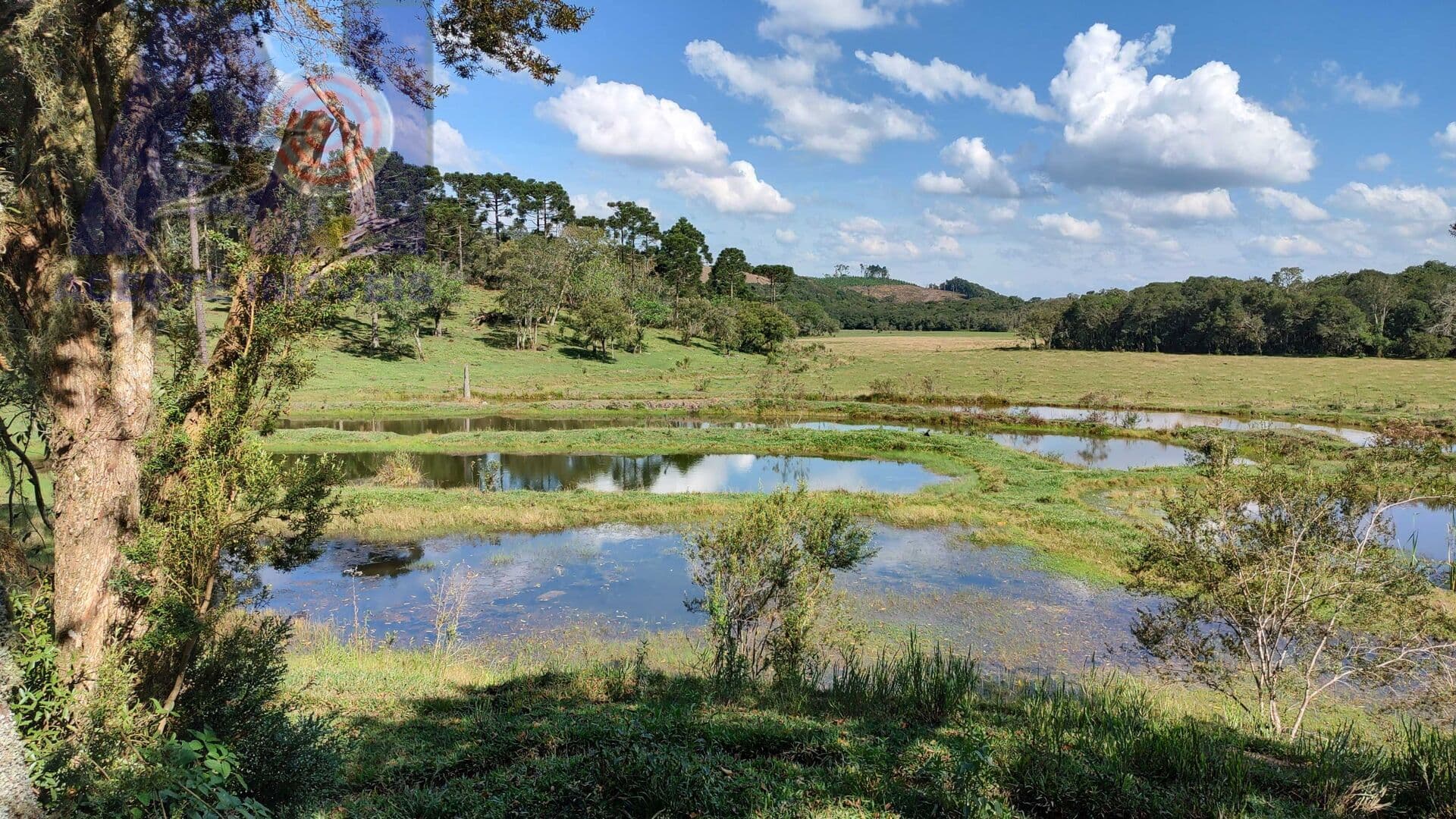 Sítio em Bateias de Baixo, Campo Alegre/SC
