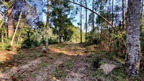 terreno para Chacara