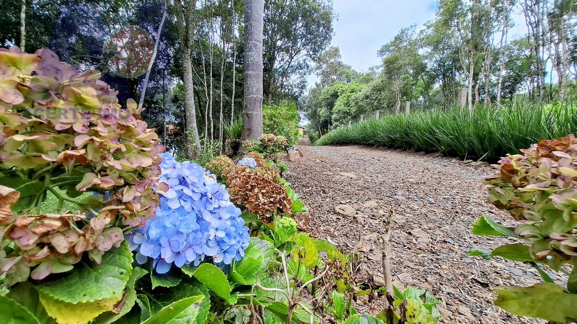 Chácara em Bateias de Baixo, Campo Alegre/SC