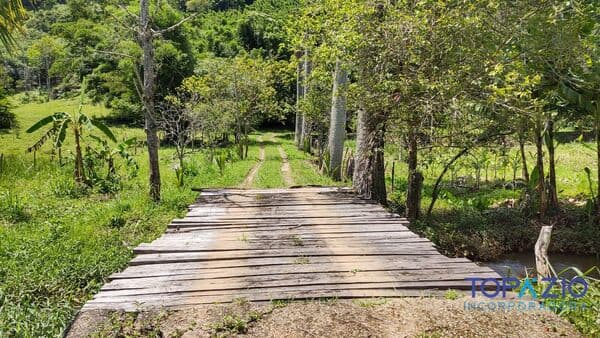 Fazenda/Sítios/Chácaras em Conceição de Macabu - São Domingos