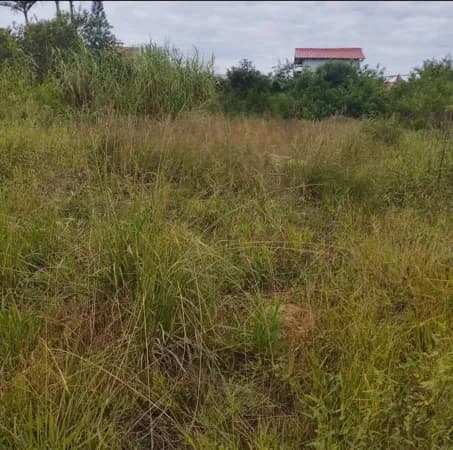 Lote/Terreno em Barra Velha - Quinta dos Açorianos