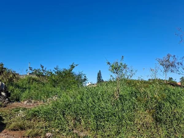 Lote/Terreno em Barra Velha - São Cristóvão