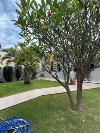 Casa Alto Padrão em Castelândia, Primavera do Leste/MT