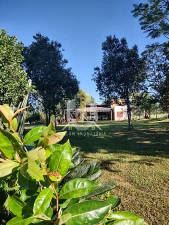 Fazenda/Sítios/Chácaras em Primavera do Leste - zona rural