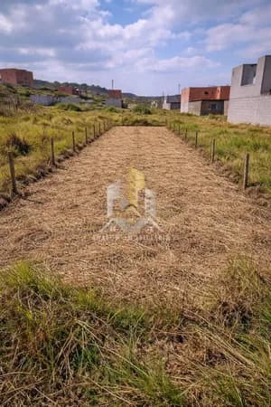 Lote/Terreno em Primavera do Leste - Centro
