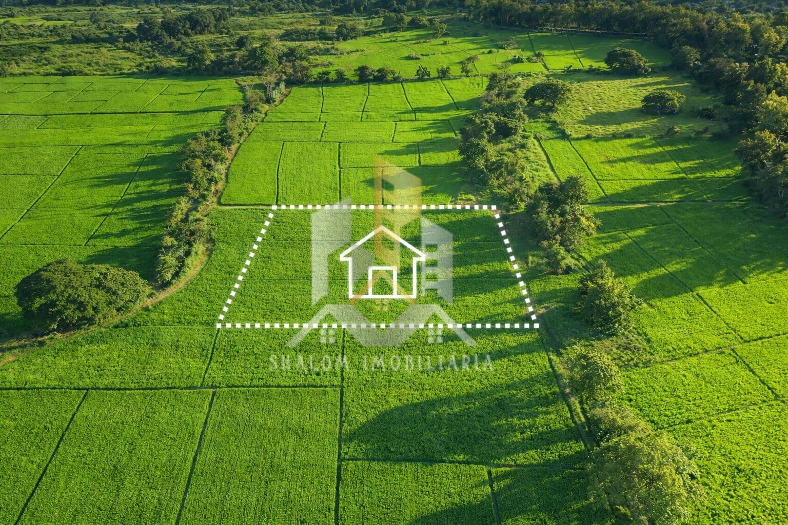 Lote/Terreno em Primavera do Leste - Buritis V