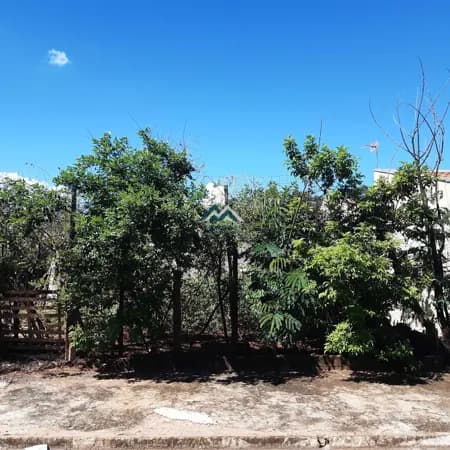 Terreno em Residencial Parque dos Servidores, Ribeirão Preto/SP
