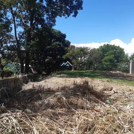 Lote/Terreno em Ribeirão Preto - Parque Residencial Cândido Portinari