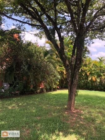 ALPHAVILLE 5 - TERRENO PLANO