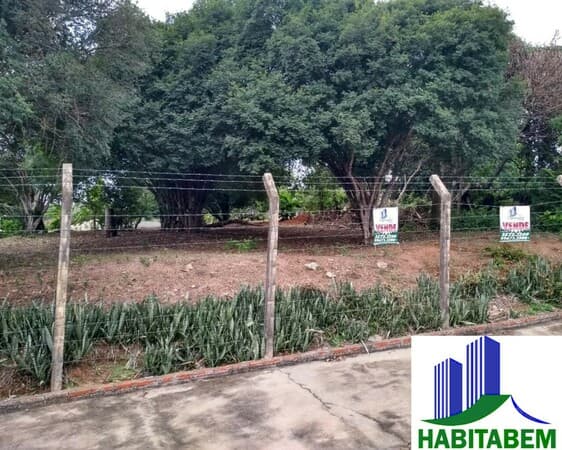 Terreno à venda em Pindorama/SP