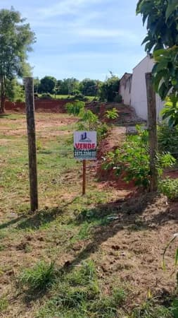 Lote/Terreno em Pindorama - Felipe Paglioto