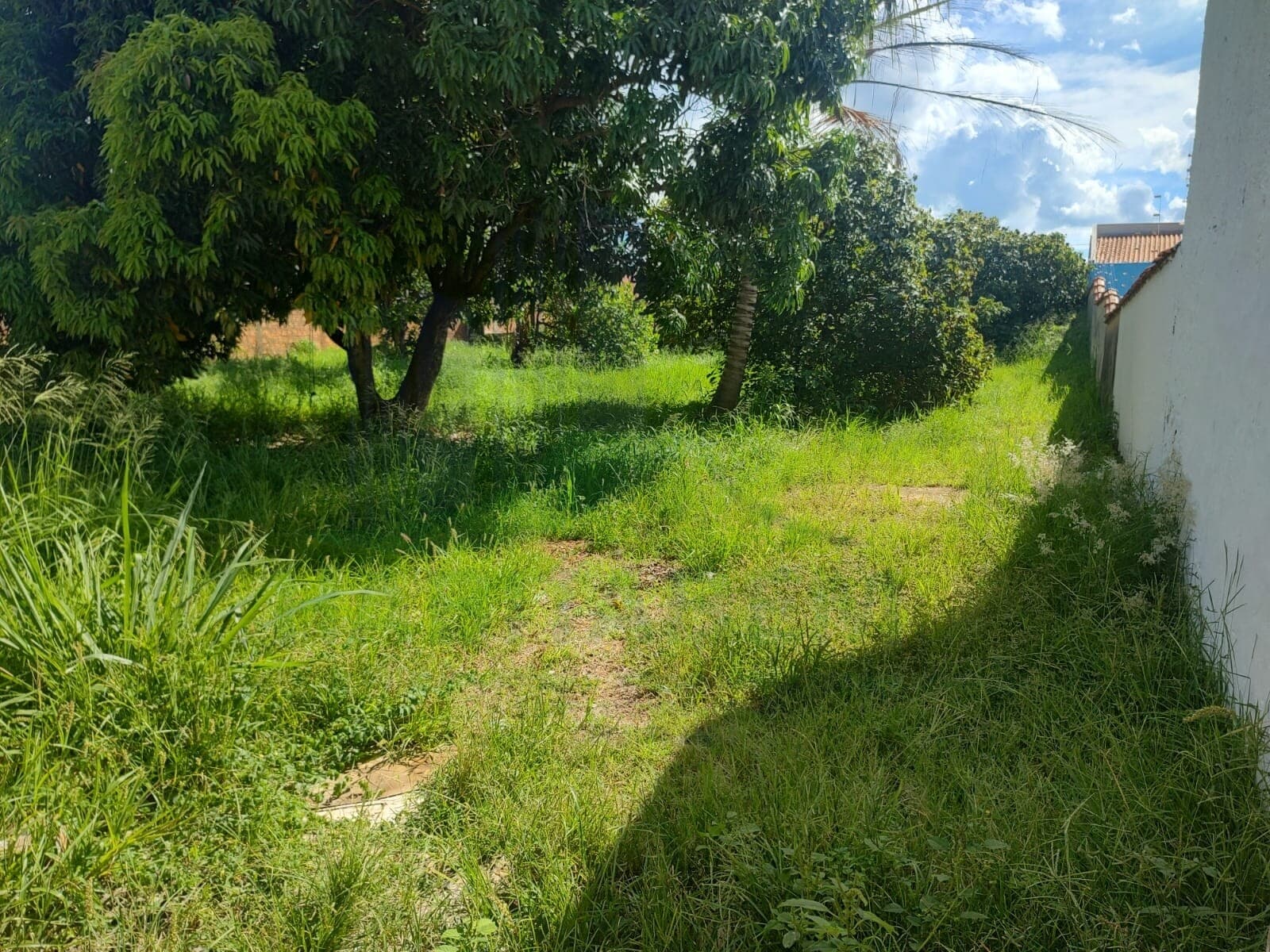 Lote/Terreno em Pindorama - Jardim Das Palmeiras