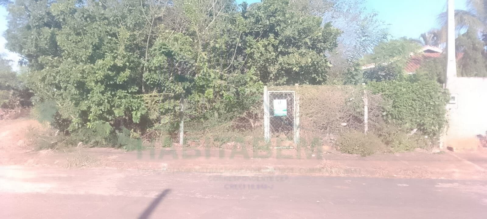 Lote/Terreno em Pindorama - Jardim Das Palmeiras