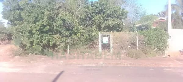 Lote/Terreno em Pindorama - Jardim Das Palmeiras