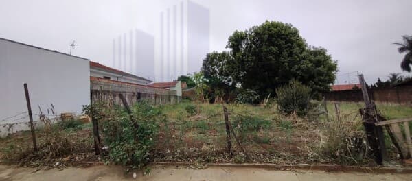 Lote/Terreno em Pindorama - Jardim Das Palmeiras