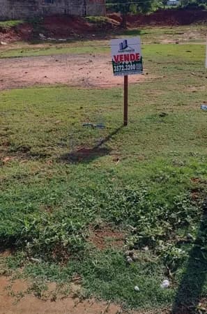 Lote/Terreno em Pindorama - Felipe Paglioto