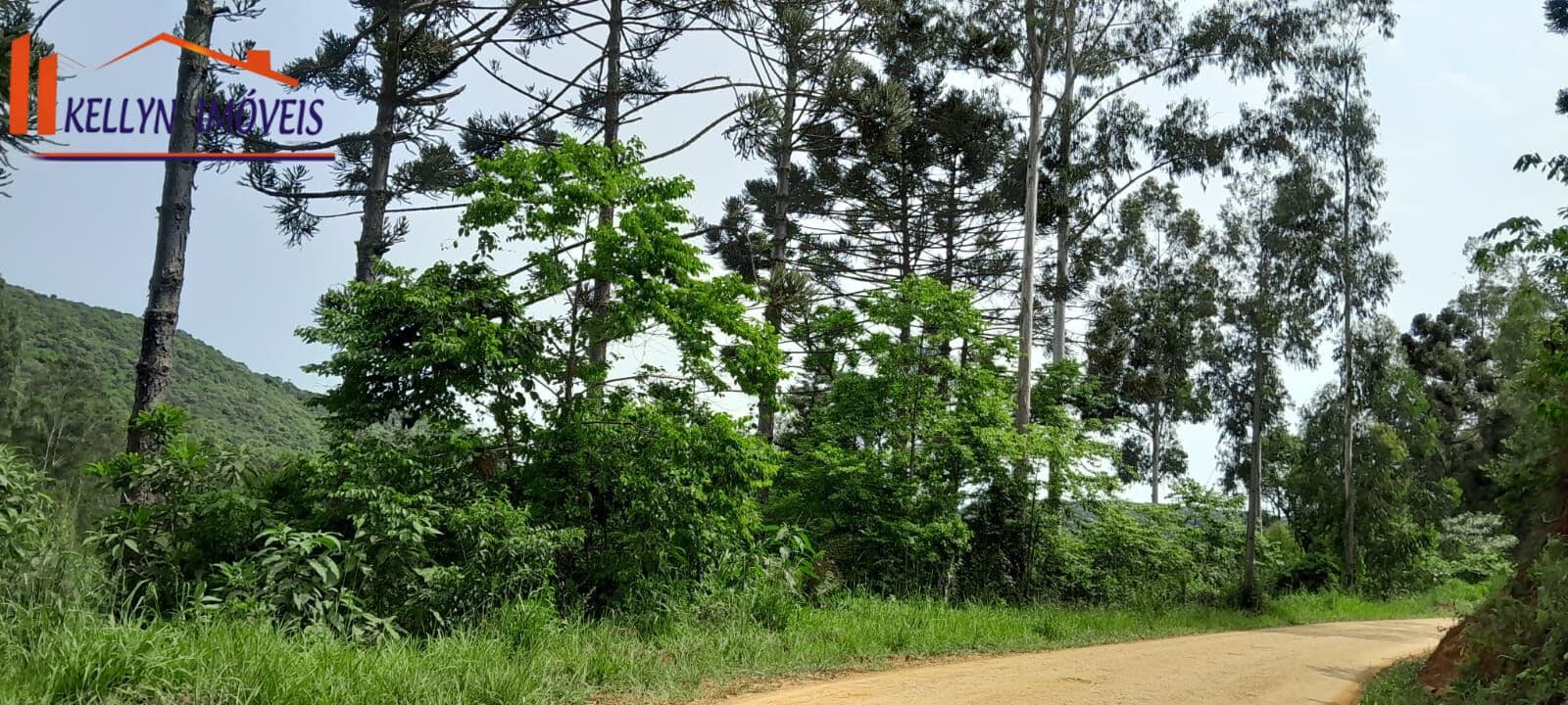 Área Rural no Interior de Faxinal!
